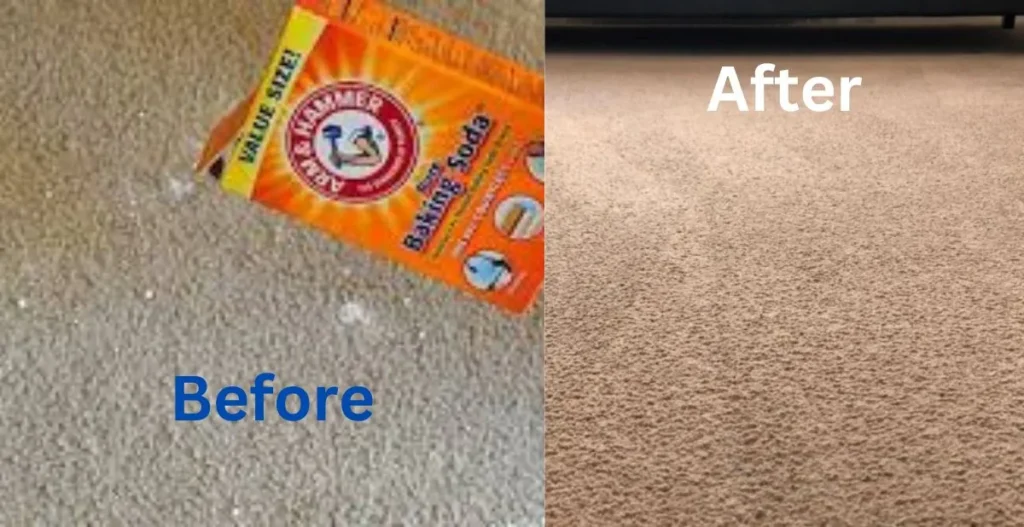 How to Remove Hair from Carpet Without Vacuum