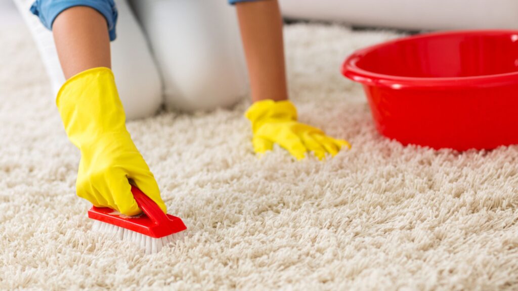 Carpet-Clean-Without-Vacuum